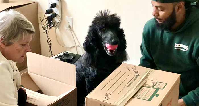 Woman labeling box while mover helpers her. Poodle is there too.